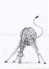 Lade das Bild in den Galerie-Viewer, Lechzender Lutz - Früchtetee Maracuja Orange