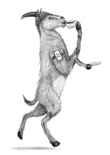 Lade das Bild in den Galerie-Viewer, Ausdauernde Almut - Kräutertee Almkräuter