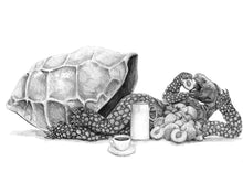 Lade das Bild in den Galerie-Viewer, Hüllenlose Helena - Schwarztee Pfirsich-Erdbeer